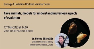 Lecture "Cave animals, models for understanding various aspects of evolution"